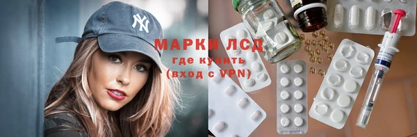 ГАЛЛЮЦИНОГЕННЫЕ ГРИБЫ Няндома