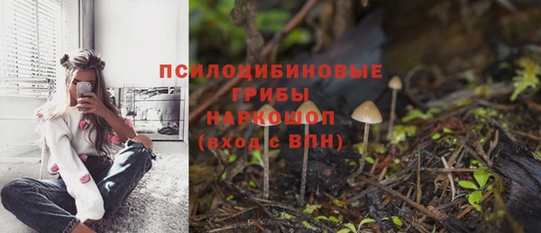 ГАЛЛЮЦИНОГЕННЫЕ ГРИБЫ Няндома