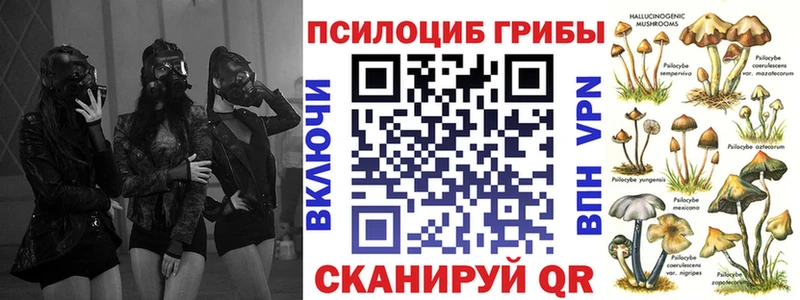 Псилоцибиновые грибы Psilocybine cubensis  KRAKEN онион  Чёрмоз 
